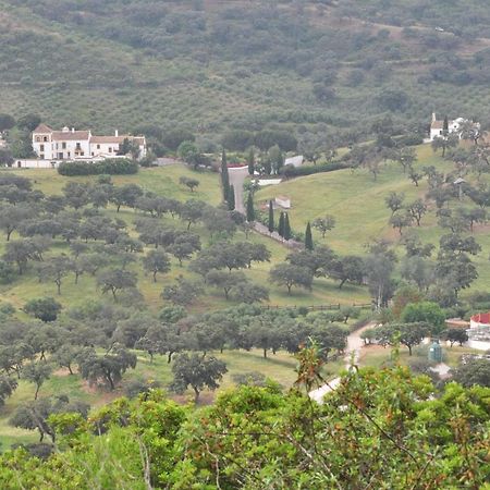 La Rejaquera Villa Villanueva del Rio y Minas Dış mekan fotoğraf