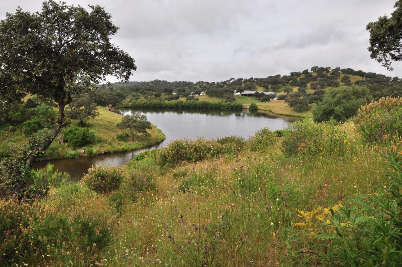 La Rejaquera Villa Villanueva del Rio y Minas Dış mekan fotoğraf