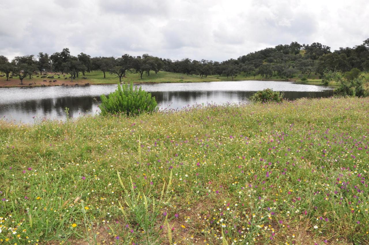 La Rejaquera Villa Villanueva del Rio y Minas Dış mekan fotoğraf