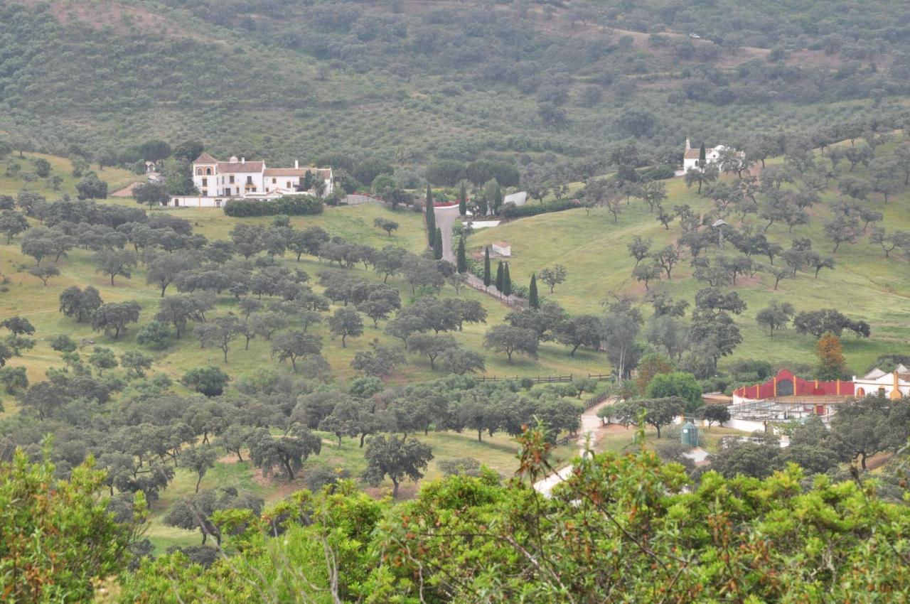 La Rejaquera Villa Villanueva del Rio y Minas Dış mekan fotoğraf